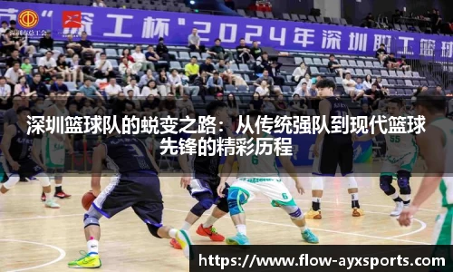 深圳篮球队的蜕变之路：从传统强队到现代篮球先锋的精彩历程